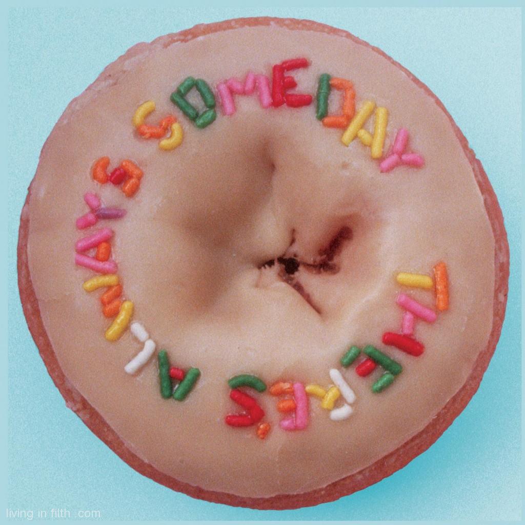 the cd donut